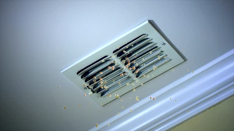 Best Affordable Duct Cleaning Services  in Dewitt, IA