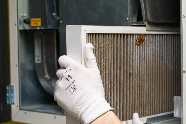 Best Emergency Air Duct Cleaning  in Dewitt, IA