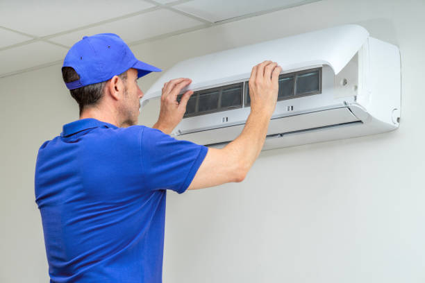 Best Dryer Vent Cleaning Services  in Dewitt, IA