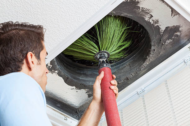 Best Affordable Air Duct Cleaning  in Dewitt, IA