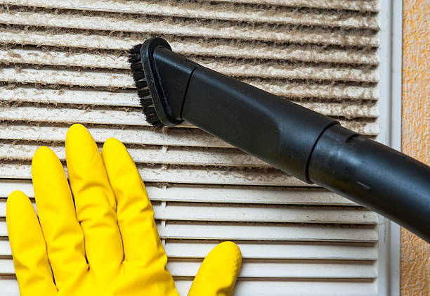 Best Local Air Duct Cleaning Services  in Dewitt, IA
